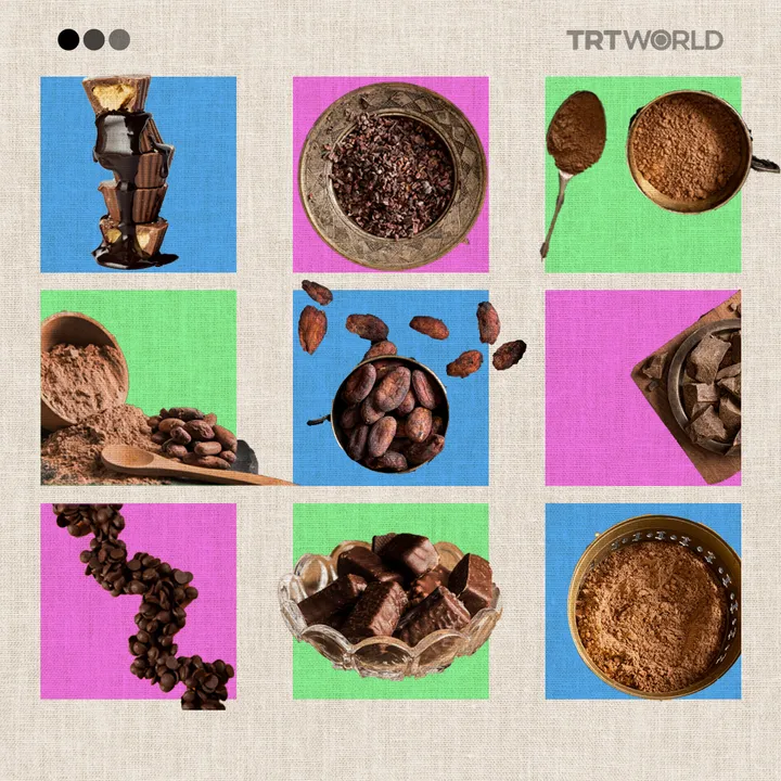 The Bittersweet Story of Chocolate